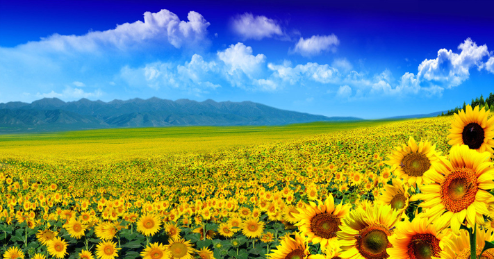 1583991677157926.png 2.png